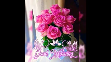 Thumbnail of Good Morning Wishes 🌹⚘️🌸💐🌺⚘️#goodmorning #morning #shorts #naturesoultune #relaxingmusic #wishes