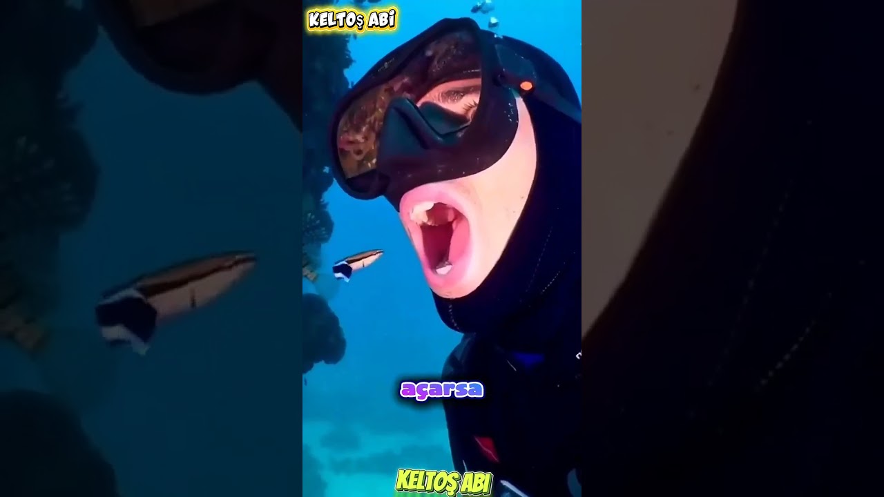😱 Ağzını Açtı, Balık Dişlerini Temizledi!