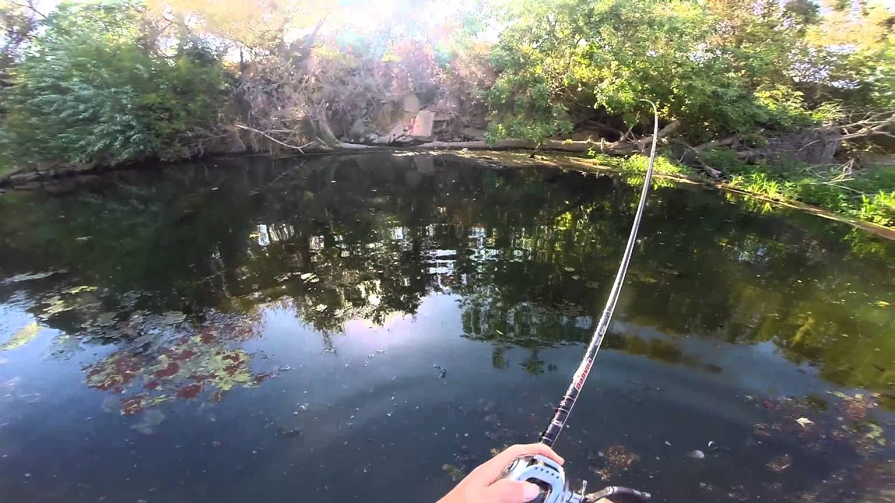 Punching Mats for Big Spotted Bass using Dobyns Rods YouTube