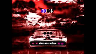 No666 - Küllerimden Doğdum