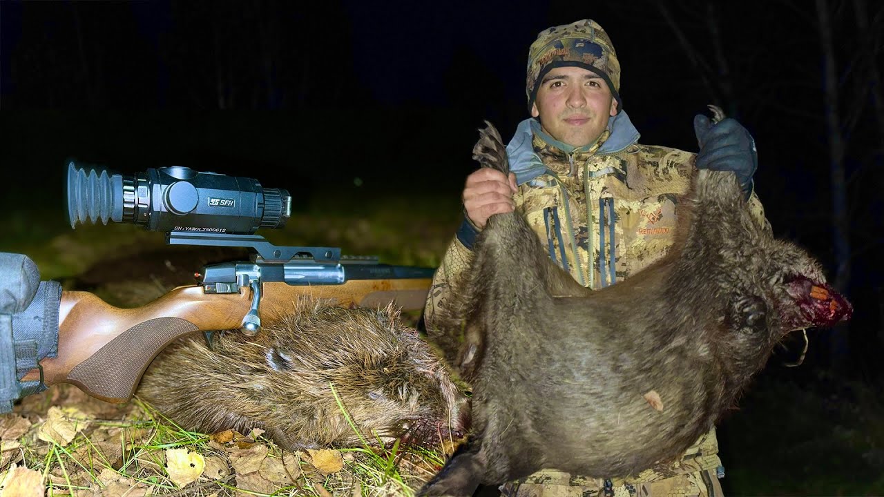 Моя первая охота на бобра и сразу отличный трофей! 🔥