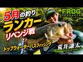 5月の釣り "ランカーリベンジ戦"トップウォーターバスフィッシング