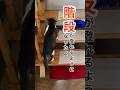 階段が登れるようになったよ#ねこ# #四肢麻痺 #寝たきり #リハビリ #shorts