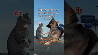 #tutorial #humor #memes #comedia #comentaycomparte #mono #monkey #fypシ #automobile #dúo #reels