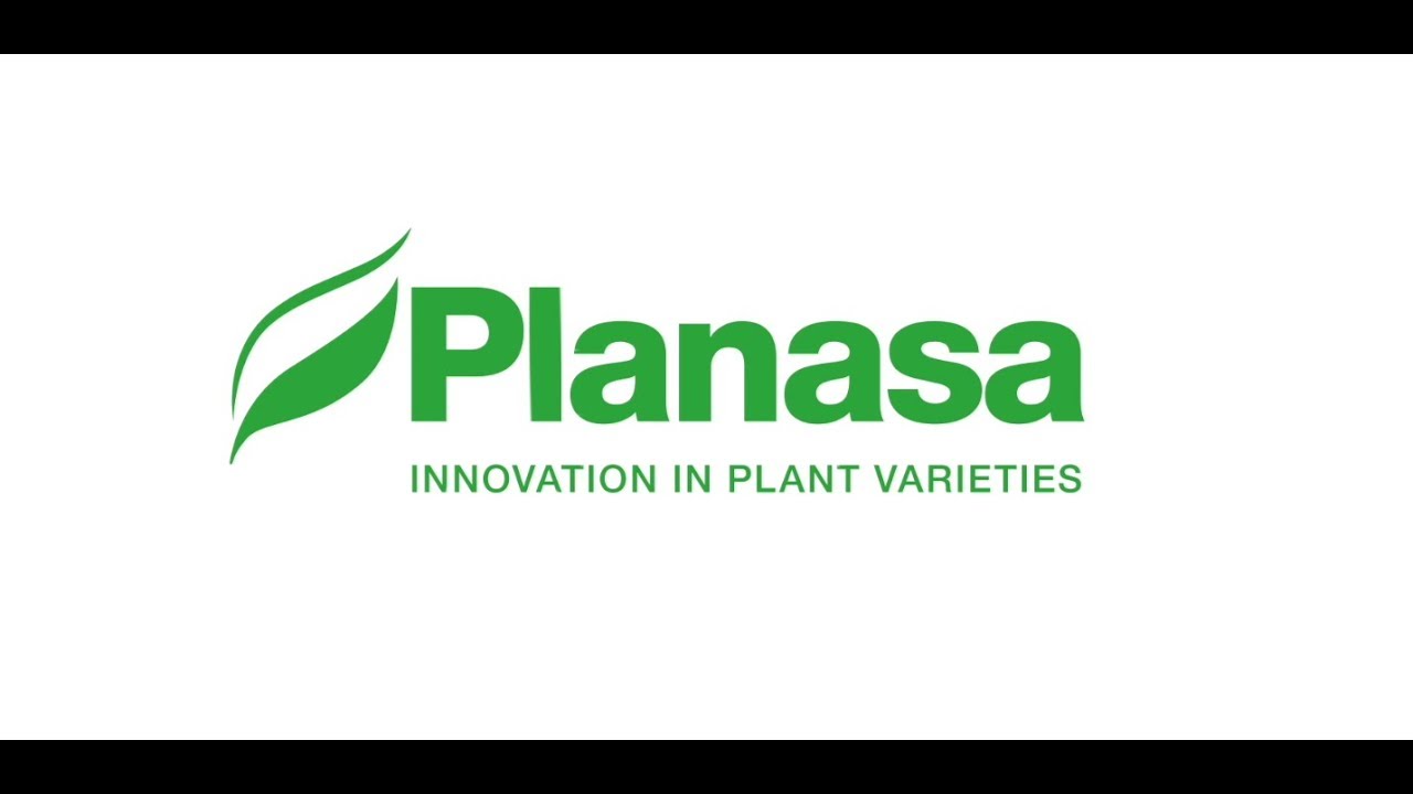 Planasa - Innovation in Plant Varieties