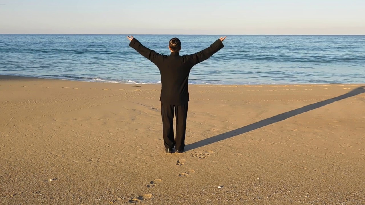 Crane Spreads Wings with Stepping (back view). Sifu Steve Chin 