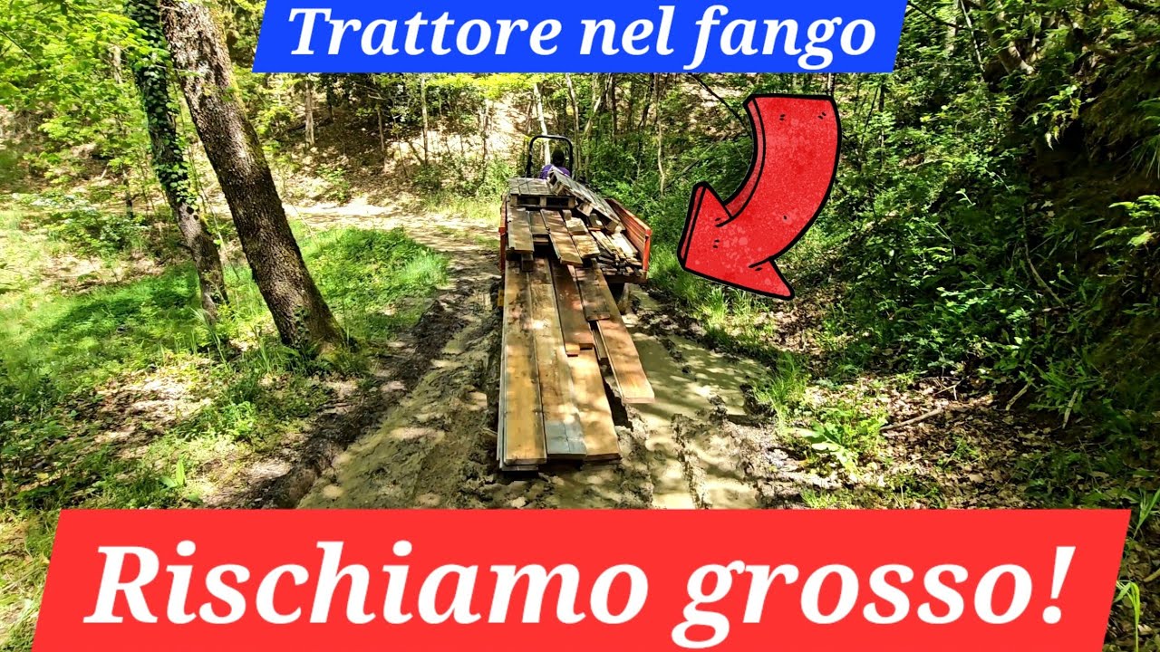 Trasportiamo mega assi di legno con il nostro piccolo trattore - rischiamo grosso nel bosco!