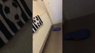 Teleport 8 (Through Floor)