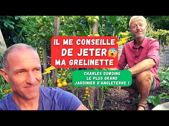 Ce vieux réflexe de jardinier booste la terre sans compost ni engrais : simple et redoutable