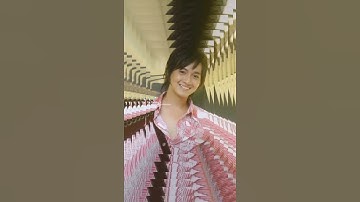 những hình ảnh lúc nhỏ của Hari Won, Trấn Thành , Ngo Kien Huy, Jack đến lúc bây giờ