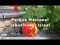 Parque Nacional Ze'ev Jabotinsky, Notícias de Israel direto de Sião - RedeIsrael.com, Cafetorah.com