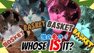 このバスケットは誰のもの😹⁉️オイラだオイラだオイラだ‼️【Whose is it??】