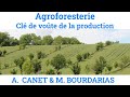 Agroforesterie  cl de vote de la production par alain canet et marceau bourdarias