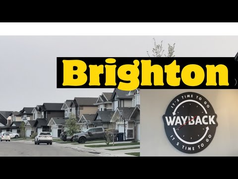 Is Brighton A