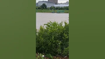 영산강 야구장 떠내려가부네 
