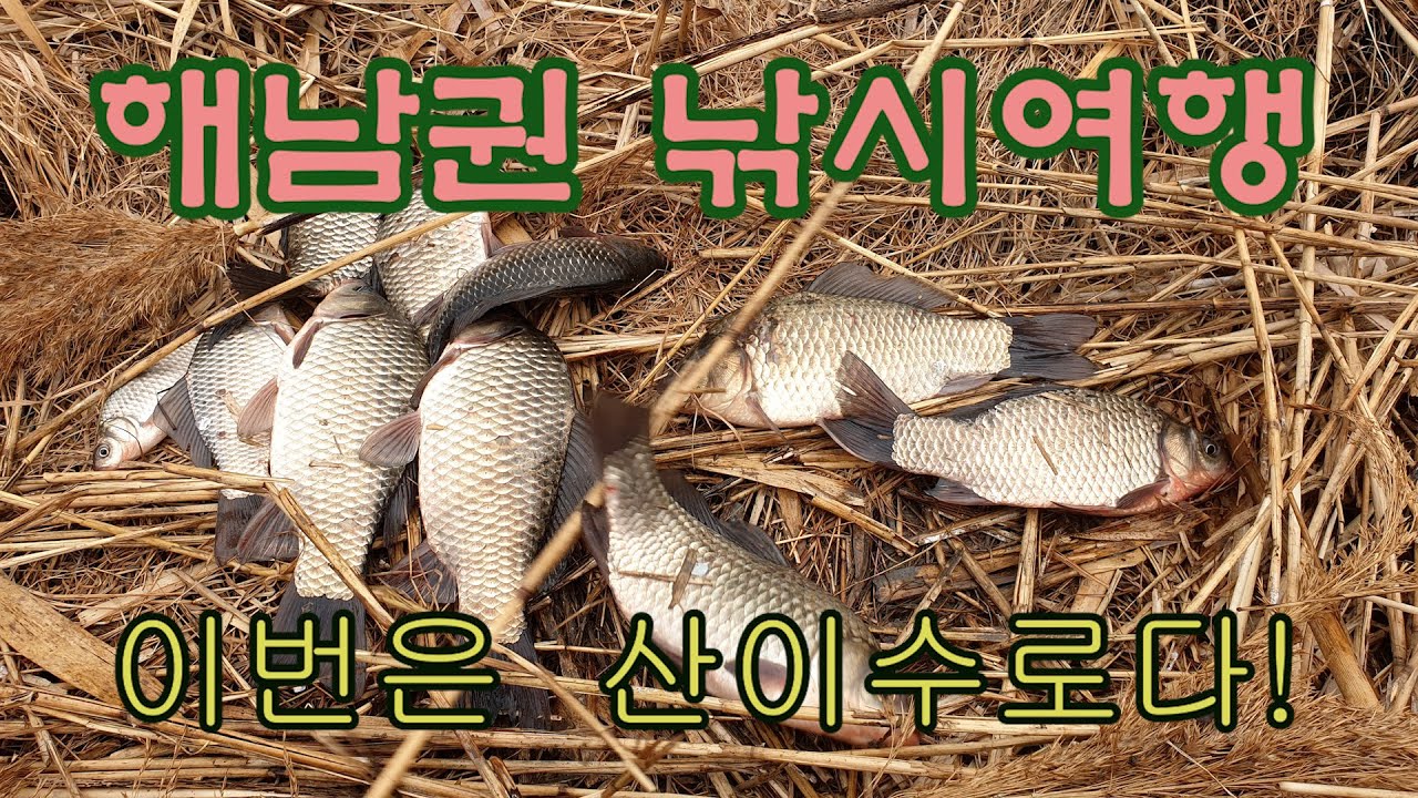 해남 산이수로 낚시여행  #붕어낚시 #해남붕어낚시 #밤낚시