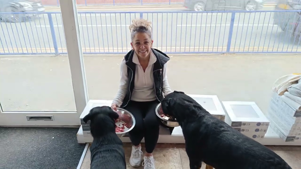 Feeding Our Rottweilers a Raw Diet 🥩 | Exciting News: Our Pet Shop Coming Soon!