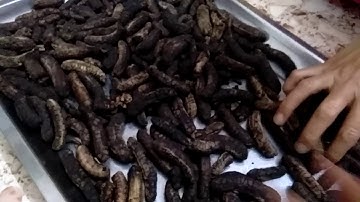 cách ngâm rượu chuối hột rừng thơm ngon!