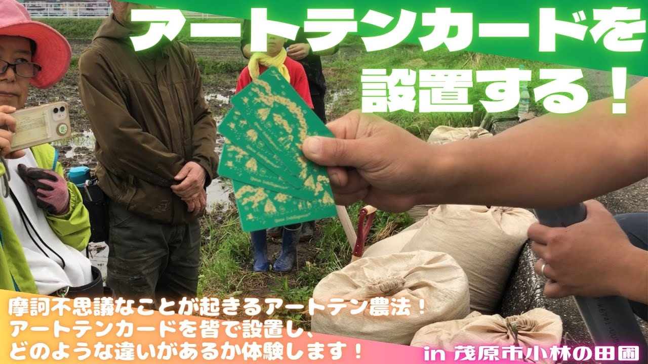 Art-Ten Technology ミラクルコーディネーター 携帯カード Installing Art Ten Cards! [Now accepting applications for Satoyama