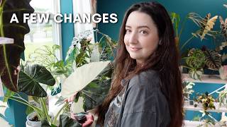 Full A casual afternoon plant room walkthrough 🌿 Update