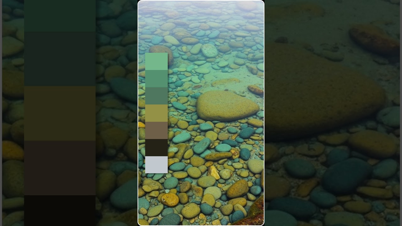 Tide Pool with Submerged Color Stones &mdash; Cinematic Color Palette | Color Vibe Archive #shorts