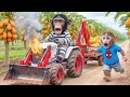 Baby Monkey Nana DrivesBuild a Crocodile Trap! | BraveJCB toRescue Mission Gone Wild!