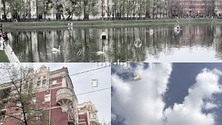 🗞️🦢 cozy vlog: учеба, прогулка, корейский язык