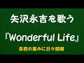 『Wonderful Life』/矢沢永吉を歌う_6131 by 自然の恵みに日々感謝