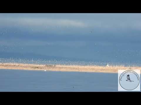 Nice morning today.....