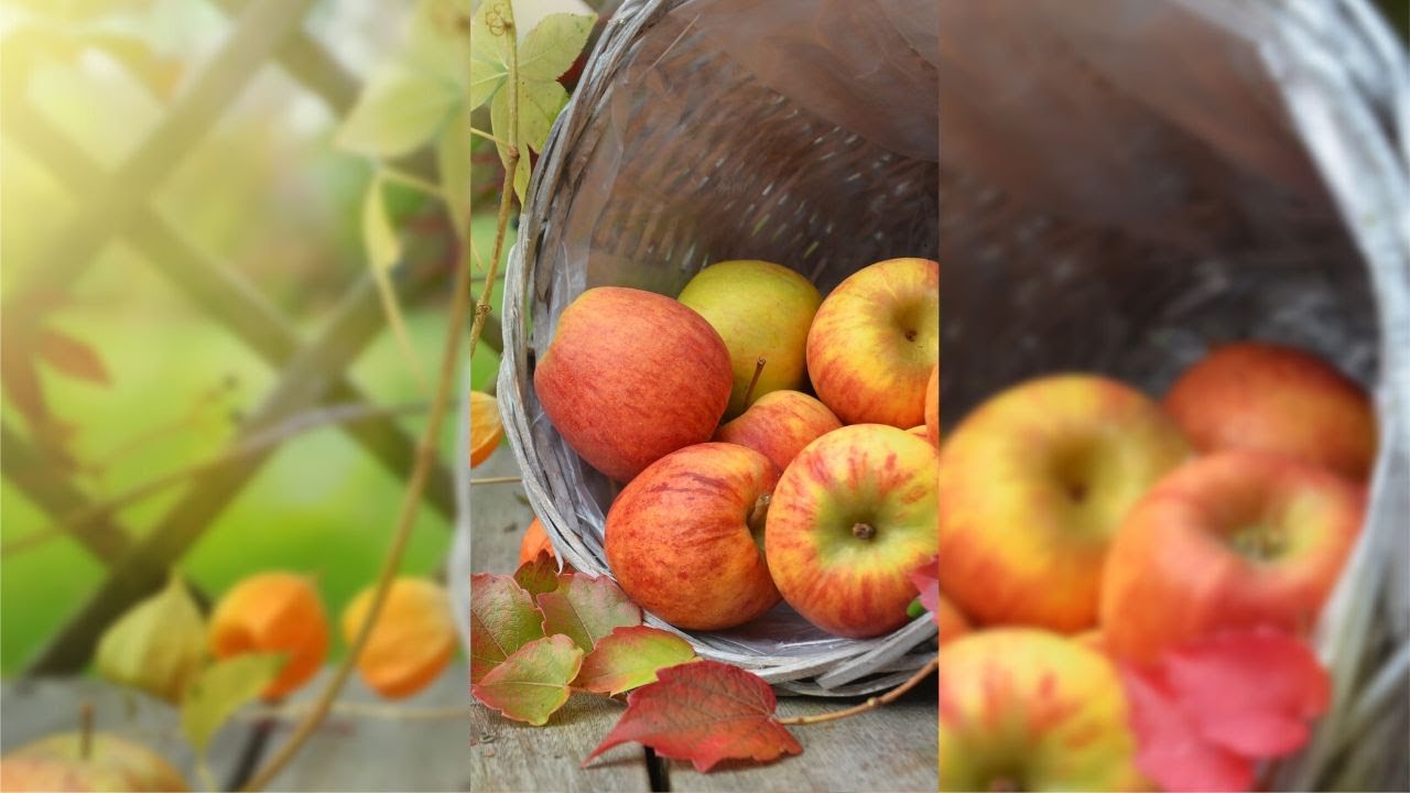 Top 5 Unknown Apple Facts In Hindi 