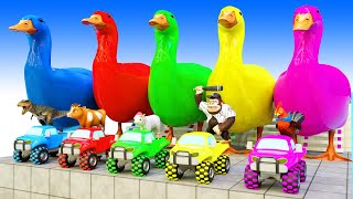 5 Giant Duck & Wild Animals Cage Game Cow Elephant Tiger Chicken Buffalo crossing Fountain