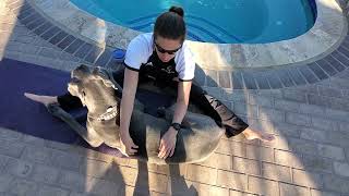 Soft Tissue Massage with optional Trigger Point Release screenshot 5