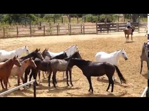 Viaggio In Andalusia Youtube