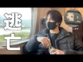 もう限界なので犬を連れてしばらく都会から離れます/トイプードル