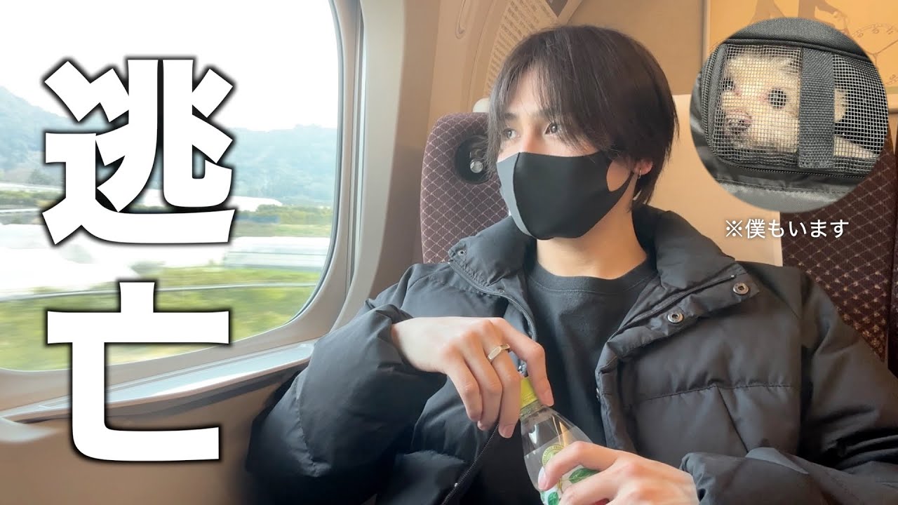 Я больше не могу. Я на время уезжаю из города со своей собакой/той-пуделем.