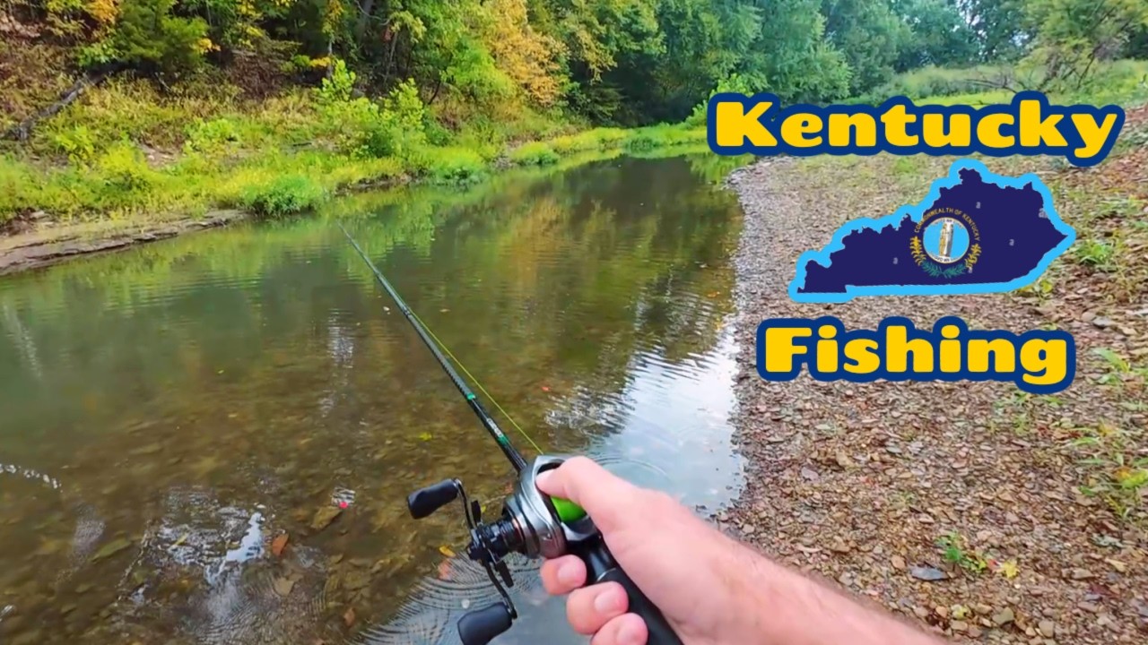 Creek Fishing Adventures
