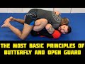 The Most Basic Principles Of Butterfly And Open Guard by Gordon Ryan