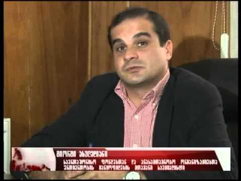 თელავში უპატრონო ძაღლებისათვის თავშესაფარი აშენდება
