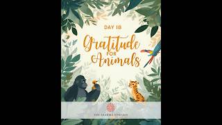 Day 18: Gratitude for Animals #spirituality #affirmations2026 #brahmakumaris