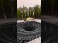 Fancy BACKWARDS HIGH DIVE into Black Hole Whirlpool #shorts