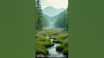 تلاوة خاشغة من سورة الشعراء | م/ باسل مؤنس