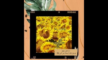 تلاوات من سورة الروم بصوت القارئ عبدالرحمن مسعد