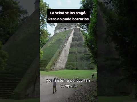 Zona arqueologica de Tikal