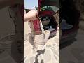أخدت موظفاتي على مزرعة #explore #اكسبلور #funnyshorts #unboxing #التغطيه #youtubeshorts #دبي #فلسطين
