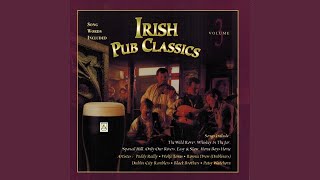 Video thumbnail of "Dublin City Ramblers - Pub Songs Medley"