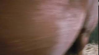 20171218 110057
