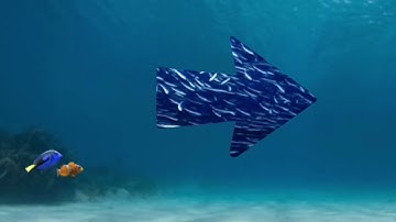 Finding Nemo the live action remake trailer