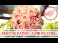 Hoya: Flor de Nacar/Flor de Cera/ Miosotis, Las plantas de la abuela