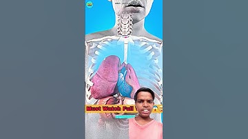 What To Do If You Puncture A Lung Explain in 3D Animation #shortvideo