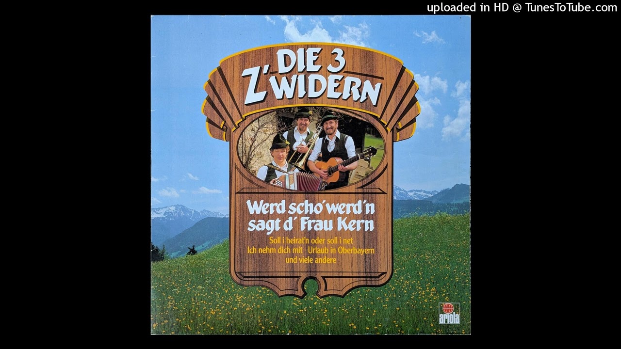 Die 3 Z'widern - Gell, da schaust (instrumental) - YouTube